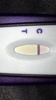 39C2924C-66DF-43E1-9F2D-1F32F8EB82B7.jpeg