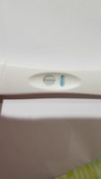 IMG-20181210-WA0035.jpeg