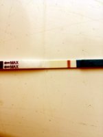 IMG_20181218_105825.jpg
