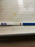 IMG_20181218_113022.jpg
