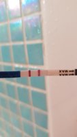 IMG-20181222-WA0012.jpeg