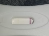20181231_103756.jpg