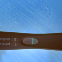 DA8EB550-5F51-4636-B044-8596AE9C46D0.png