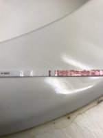 08AE530D-0432-4378-91B1-750EAB128FB4.jpeg
