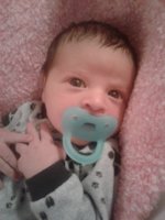 Resized_20190111_222932_5155.jpeg
