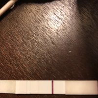 9DEA239B-ED16-4587-91EF-37185AEBDAE4.jpeg