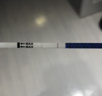 B7E0341B-31F6-488A-920D-E329109B2FA9.jpeg