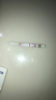 1C1E47B8-91FE-4FDA-94E1-3639A12C5F6F.jpeg