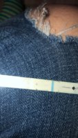 FED69D3D-8072-4309-8272-4A2800E06968.jpeg