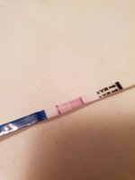 rps20190129_180615.jpg