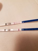 rps20190129_212511.jpg