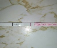 IMG_20190206_0652584.jpg
