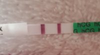 20190216_085852.jpg