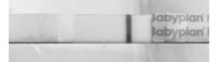 0632B5CF-9102-4AE0-AA5A-423C4BAA4DCC.jpeg