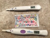 ovulation.jpg