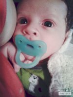 FB_IMG_1549937620178.jpg