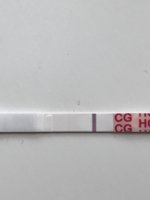 JRm6O8CoRk+adSPjiSlKYw.jpg