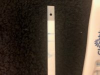 test3.jpg