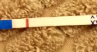 _20190304_202657.JPG