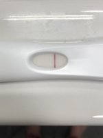 156FE2EE-A2F4-4986-97AF-77B466ED1EDB.jpeg