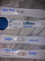 546017EE-F2D5-4E5E-9096-CEDDAB899D10.jpeg