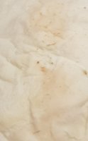 20190314_204846.jpg