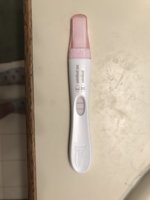 D5C97114-C74E-42B2-9B74-755B2ED20B41.jpeg
