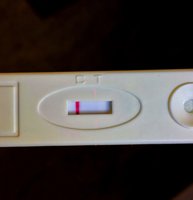 E8328272-DF63-46AB-9837-761BC1078D09.jpeg