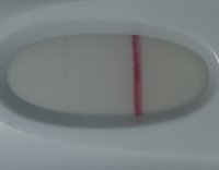 20190405_165900.jpg