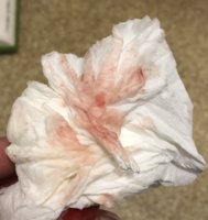 32D0DEAE-55A1-4E46-BBA1-816C0281E197.jpeg