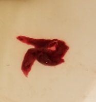20190506_103405.jpg