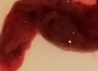 20190506_132738.jpg