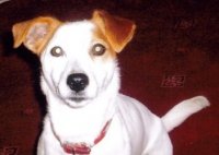 Smudge 2.jpg