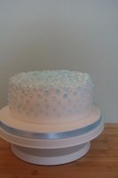 DSC00328.jpg