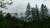 IMG-20190514-WA0007.jpg