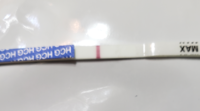 20190604_1749541.png