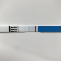 07D66D37-3E43-4CC4-A3C2-69CA971A96E2.jpeg