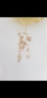 Screenshot_20190609-145710_Gallery.jpg