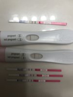 90E3F074-74C3-4E4C-A463-3DC6DA367D91.jpeg