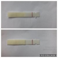 E6601F64-7350-471E-B3FD-D06084F229E7.jpeg