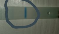 20190710_155636.jpg