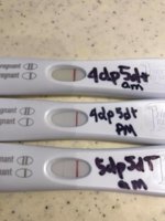 tests.jpg