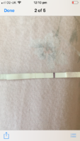 D1282E35-959A-40D2-8589-4713CA4DA3AC.png