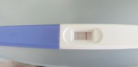 16 dpo.jpg