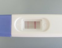 16dpo.jpg