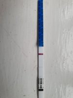 20190727_092939.jpg