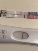 B4C1FDA7-D45F-45AB-813A-19360E65934D.jpeg