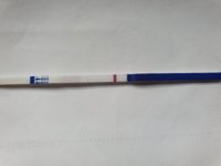 20190815_100535.jpg
