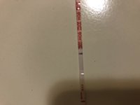 83A5AC5B-F6FA-447D-BE48-8CFFAFB1DA70.jpeg