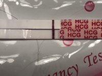 7FAA0E58-760C-4E5B-8D35-532EC60A9DA4.jpeg
